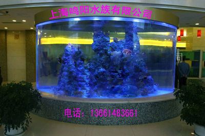 訂做魚缸的價格范圍：訂做魚缸價格范圍 魚缸百科 第3張