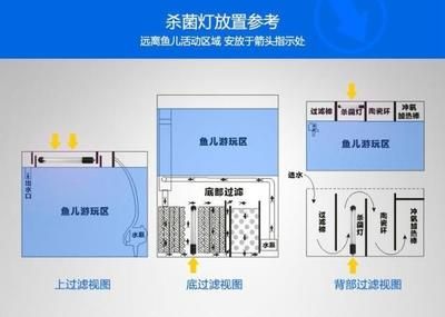 魚缸殺菌燈的安裝位置對(duì)于其功效有著重要影響的影響：關(guān)于魚缸殺菌燈安裝位置的建議 魚缸百科 第3張