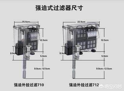 黑魚在家庭魚缸中養(yǎng)不活的原因及合理投放硝化菌等因素：水質(zhì)管理的重要性 魚缸百科 第2張