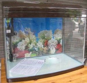 越美水族用品有限公司：廣州市越美水族用品有限公司