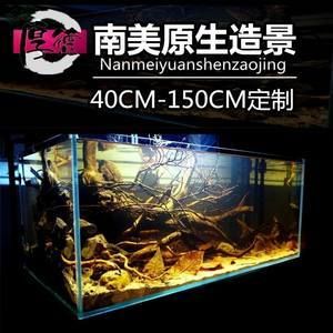 放沉木的魚缸適合養(yǎng)哪些魚？：南美觀賞魚的種類與特點(diǎn) 魚缸百科 第1張