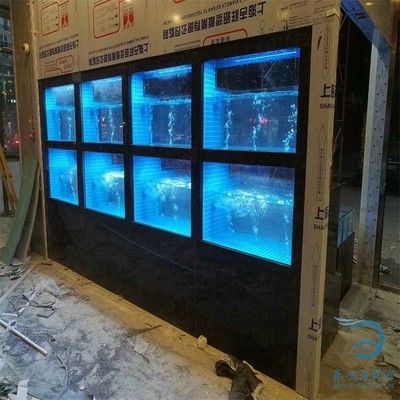 海鮮魚缸的維護(hù)秘籍：海水魚缸的維護(hù)秘籍 魚缸百科 第1張