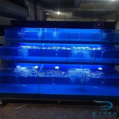 海鮮魚缸的維護(hù)秘籍：海水魚缸的維護(hù)秘籍 魚缸百科 第3張