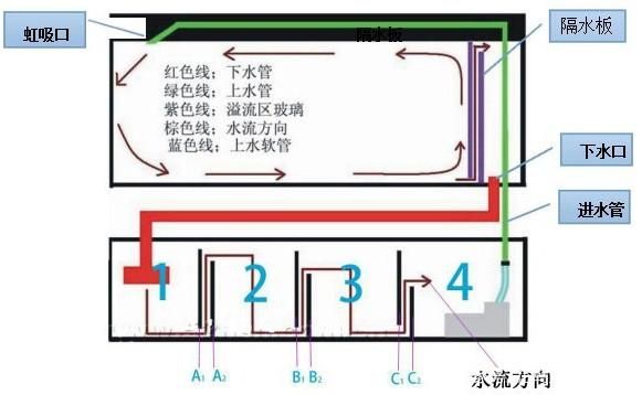 虹吸底濾和溢流底濾的區(qū)別在于虹吸底濾和溢流底濾：底濾魚(yú)缸的維護(hù)與保養(yǎng) 魚(yú)缸百科 第2張