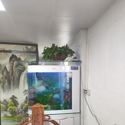 德國(guó)德克魚缸怎么樣 和彩蝶比呢 魚缸百科 第2張