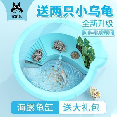 鱷龜魚缸造景的要點(diǎn)：鱷龜魚缸造景的藝術(shù)與科學(xué)魚缸造景：如何打造鱷龜友好型魚缸造景 魚缸百科 第4張