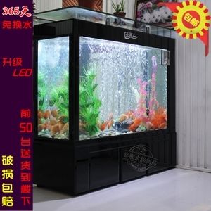 海洋生態(tài)魚缸設(shè)計原理海洋生態(tài)魚缸市場趨勢分析海洋生態(tài)魚缸設(shè)計：海洋生態(tài)魚缸的設(shè)計原理 魚缸百科 第3張