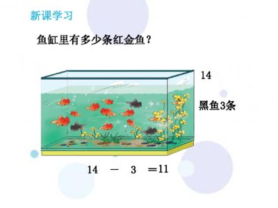 黑魚(yú)與魚(yú)缸大小的關(guān)系：如何選擇魚(yú)缸尺寸 魚(yú)缸百科 第3張