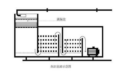 魚缸濾材擺放圖干濕分離的具體內容：底濾魚缸濾材擺放圖干濕分離的具體內容