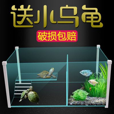 觀賞魚(yú)混養(yǎng)觀賞魚(yú)需要注意的誤區(qū)在混養(yǎng)觀賞魚(yú)的重要因素：混養(yǎng)觀賞魚(yú)混養(yǎng)觀賞魚(yú)需要注意什么 魚(yú)缸百科 第3張