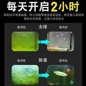 底濾魚缸殺菌燈的放置位置對于水族箱的健康至關重要：底濾魚缸殺菌燈放哪里最好 魚缸百科 第3張