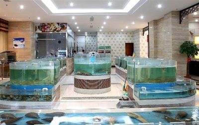 漢川魚多多水族金魚店：漢川市多家店鋪和市場提供魚缸銷售或相關服務 魚缸百科 第1張