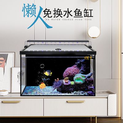 定制魚缸方面有良好口碑的廠家：水族工程的歷史演變：定制魚缸廠家哪家好 魚缸百科 第1張