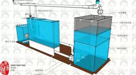 魚缸底濾缸設(shè)計(jì)圖分享[需手動(dòng)填充]底濾缸設(shè)計(jì)圖分享[需手動(dòng)填充]網(wǎng)友分享：關(guān)于魚缸底濾系統(tǒng)的一些信息 魚缸百科 第1張