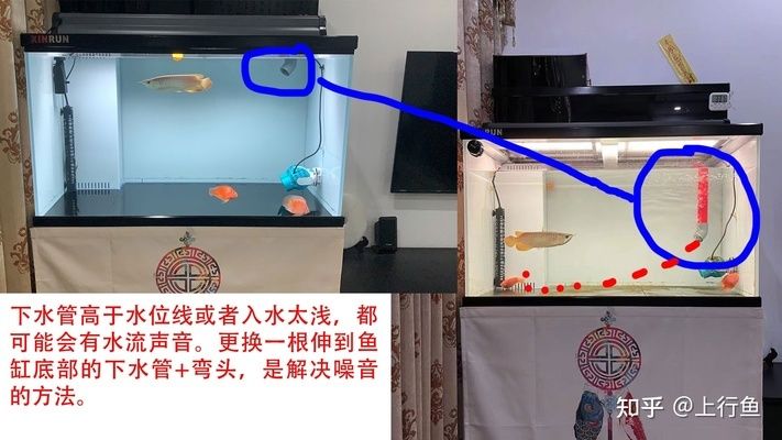 魚缸下水管噪音大怎么辦？：底濾魚缸下水管出現(xiàn)轟隆轟隆聲怎么辦？ 魚缸百科 第4張