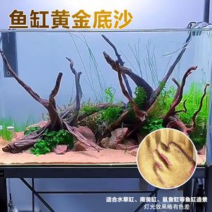 養(yǎng)魚新手養(yǎng)魚新手入門指南，新手養(yǎng)魚新手入門指南：養(yǎng)魚新手入門指南 魚缸百科 第4張