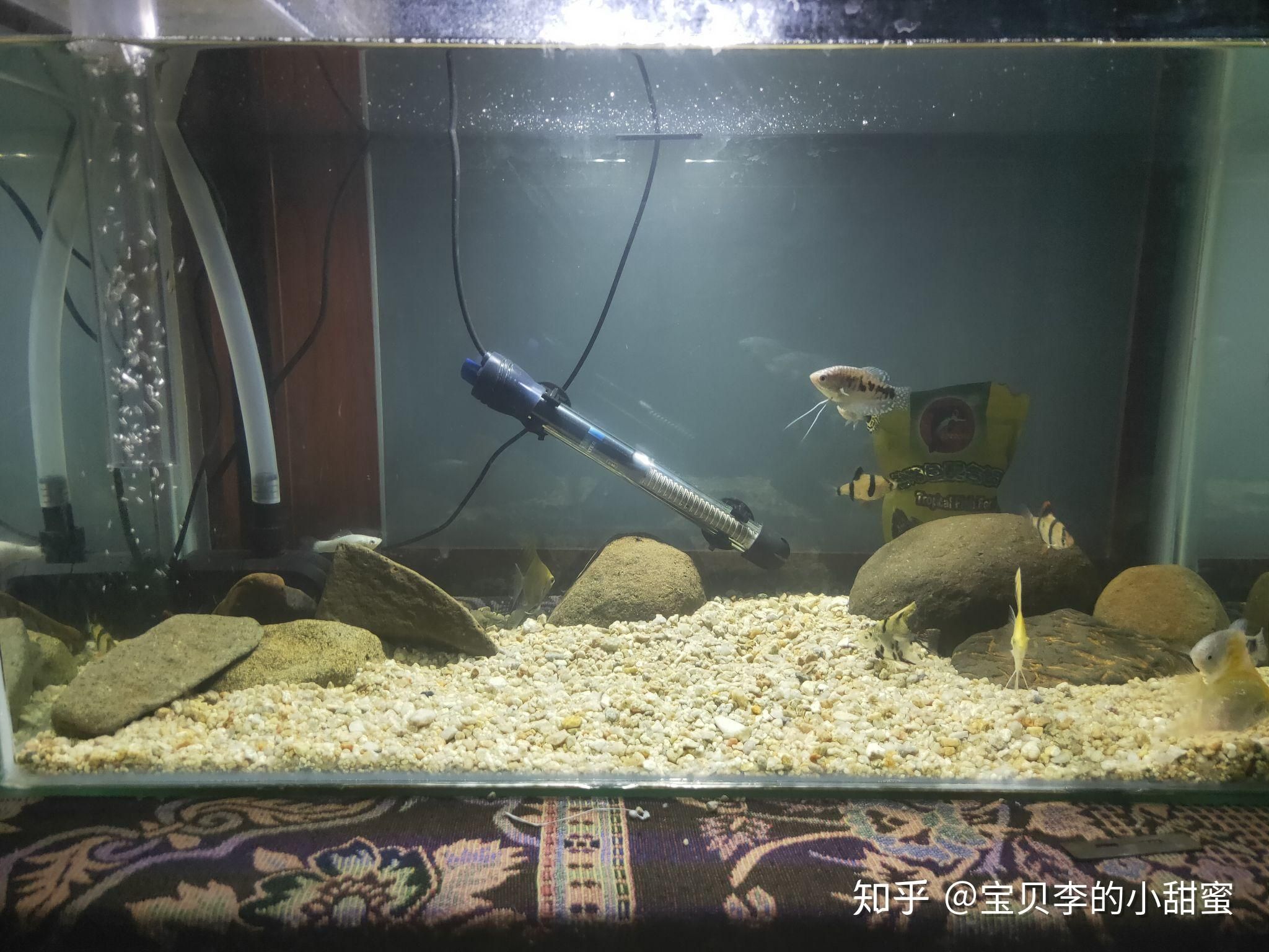 魚(yú)缸蓋的設(shè)計(jì)的創(chuàng)新思路：diy魚(yú)缸蓋的實(shí)用功能解析 魚(yú)缸百科 第4張