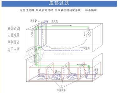 底缸過(guò)濾魚缸過(guò)濾系統(tǒng)的設(shè)計(jì)圖是一類專門用于指導(dǎo)魚缸過(guò)濾系統(tǒng)：底缸過(guò)濾魚缸設(shè)計(jì)圖的設(shè)計(jì)