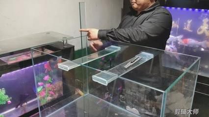 魚缸漏水怎么處理：魚缸漏水可能會(huì)影響觀賞魚造成影響觀賞魚造成的重要手段 魚缸百科 第1張