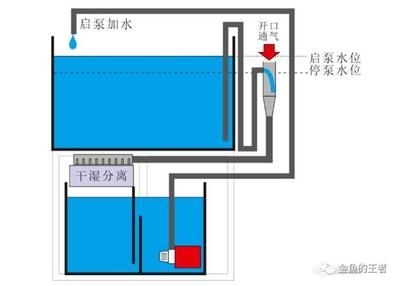 虹吸魚(yú)缸水循環(huán)裝置的使用：虹吸魚(yú)缸水循環(huán)示意圖制作步驟和注意事項(xiàng) 魚(yú)缸百科 第2張