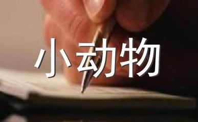 紅鯉魚(yú)魚(yú)缸異味怎么辦？：養(yǎng)殖紅鯉魚(yú)的注意事項(xiàng) 魚(yú)缸百科 第1張