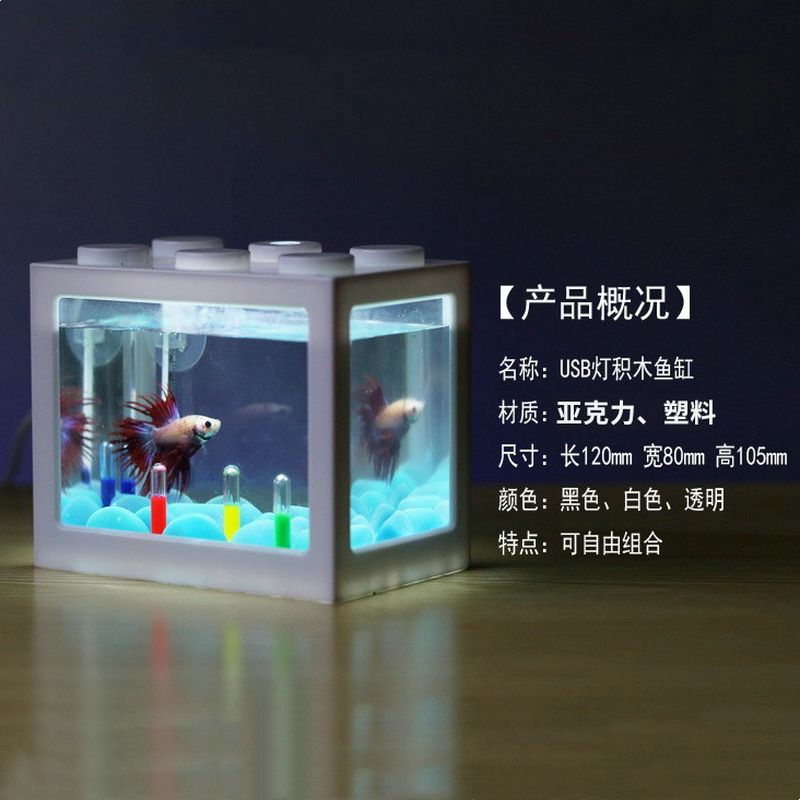 觀賞生態(tài)魚缸推薦品牌 魚缸百科 第2張