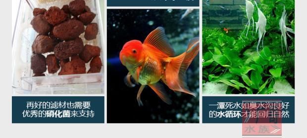 魚缸底砂的選擇與養(yǎng)護(hù)：底砂魚缸的過濾方式及其相關(guān)的清理和注意事項 魚缸百科 第3張