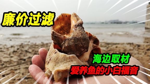 自制魚缸過濾材料的diy教程對魚缸過濾材料的diy教程：紅磚與魚缸過濾材料的對比