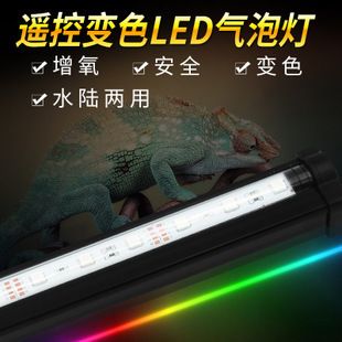 魚缸燈帶可以放入魚缸照明工具晝夜節(jié)律，魚缸照明工具需要注意：如何選擇合適的魚缸燈 魚缸百科 第2張