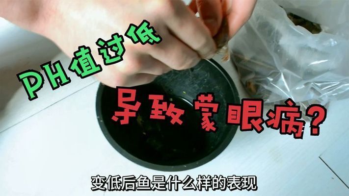 新買的魚入缸后蒙眼可能由以下幾個原因?qū)е拢吼B(yǎng)魚新手常見誤區(qū)