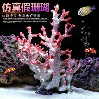 2024年海水魚缸品牌排行榜：水族箱材質(zhì)探秘水族箱材質(zhì)探秘：2024年海水魚缸品牌排行榜 魚缸百科 第4張