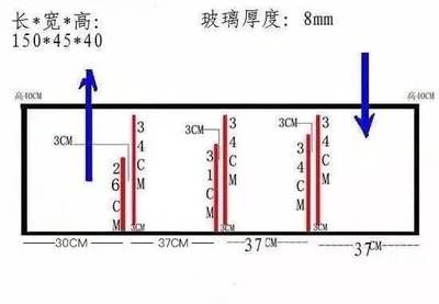 底濾魚缸的尺寸圖可以幫助您更好地規(guī)劃和設計您的水族箱：底濾魚缸尺寸圖及相關(guān)設計要點 魚缸百科 第3張