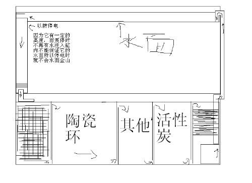 底濾魚缸的尺寸圖可以幫助您更好地規(guī)劃和設計您的水族箱：底濾魚缸尺寸圖及相關(guān)設計要點 魚缸百科 第2張