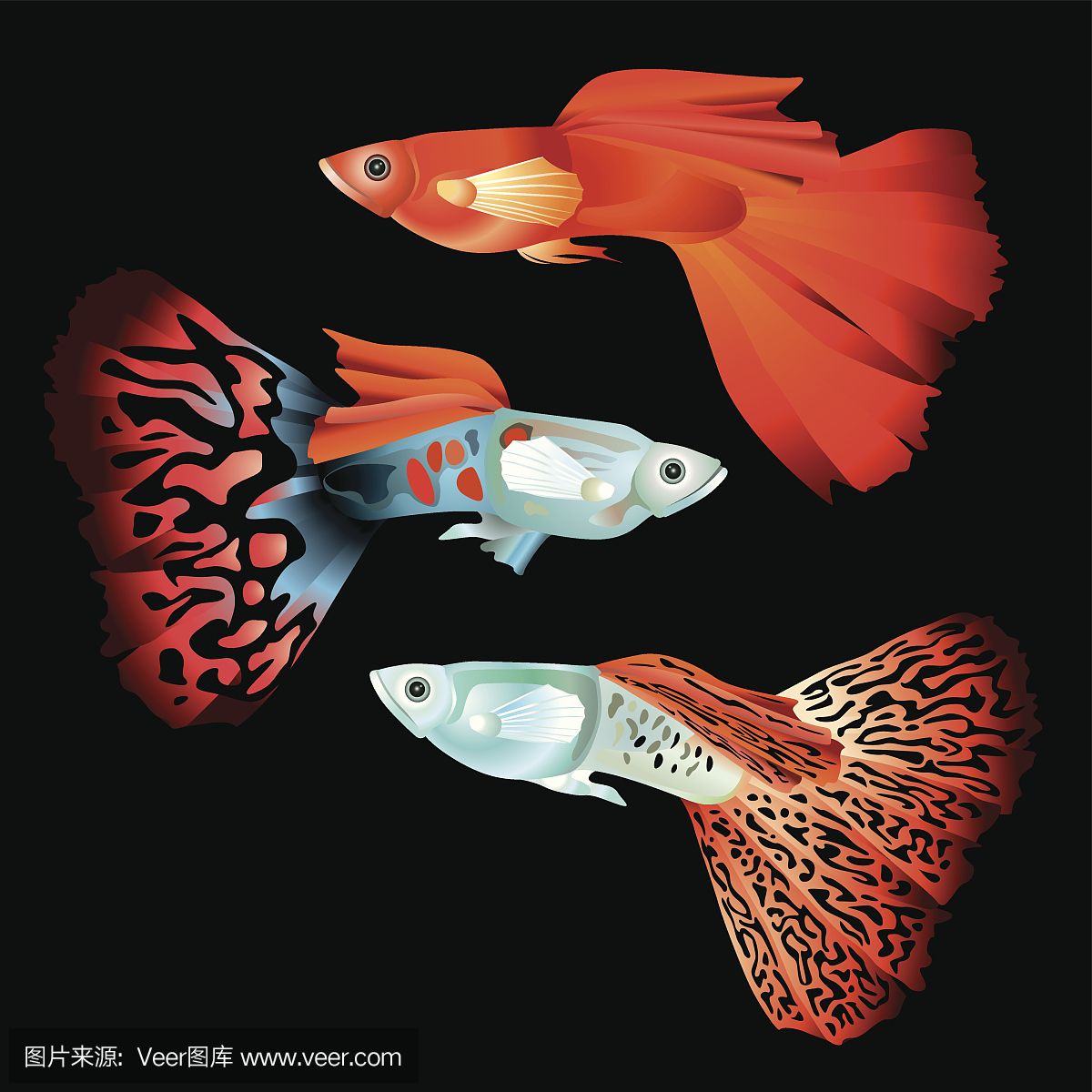 金魚(yú)魚(yú)缸簡(jiǎn)筆畫(huà)的繪畫(huà)方法：畫(huà)魚(yú)缸和魚(yú)的簡(jiǎn)筆畫(huà)可以分為以下幾個(gè)步驟你需要準(zhǔn)備 魚(yú)缸百科 第3張