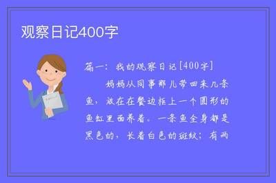 觀察魚缸里的小魚日記：觀察我家魚缸里的小魚日記,我家的魚缸里生活著一群可愛的小魚 魚缸百科 第3張