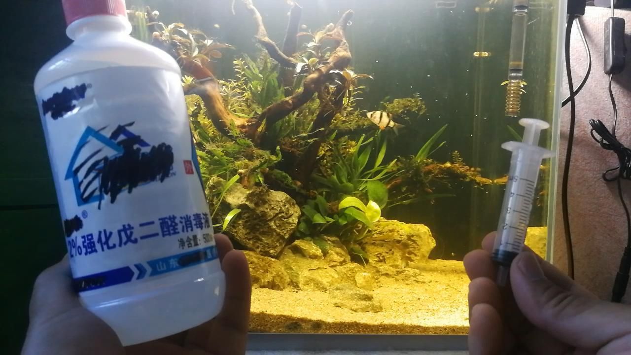 淡水魚缸消毒方法：二淡水魚缸消毒方法 魚缸百科 第2張