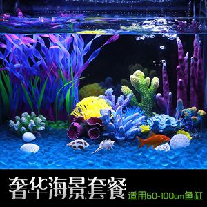 海景坊魚缸造景的步驟詳解魚缸造景的步驟詳解：新鄉(xiāng)海景坊魚缸造景