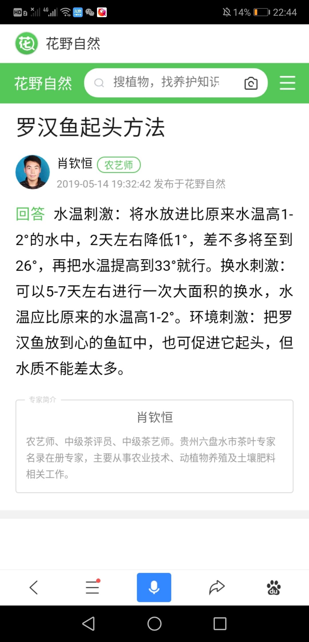 方法看反了還行，往事并不如煙評論：主要是基因：基因，亞然kt1fx 觀賞魚論壇