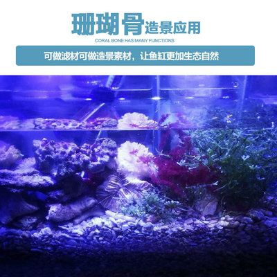 海洋生態(tài)揭秘海沙造景魚缸飼養(yǎng)要求和習(xí)性要求和習(xí)性：水族造景的技巧 魚缸百科 第3張