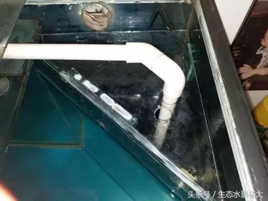 魚缸水質管理的全面指南：如何選擇合適的魚缸底濾造浪泵 魚缸百科 第4張