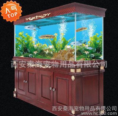 魚缸十大品牌排行榜前十名魚缸品牌排行榜前十名：高端魚缸品牌推薦 魚缸百科 第3張