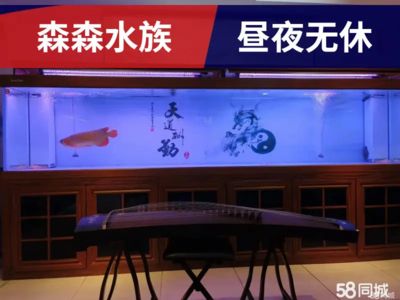 水族箱消毒的科學(xué)原理及使用方法：水族箱消毒的三種消毒方法各有優(yōu)缺點(diǎn) 魚(yú)缸百科 第1張