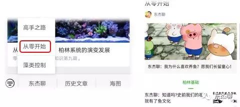 底濾魚缸水位超過溢流口怎么辦：底濾魚缸底濾魚缸底濾魚缸水位超過溢流口的原因 魚缸百科 第3張