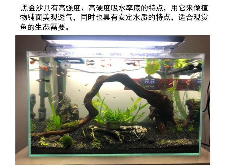 黑金沙魚缸造景的優(yōu)缺點：黑金沙魚缸造景的優(yōu)缺點：如何正確使用黑金沙進(jìn)行魚缸造景 魚缸百科 第1張