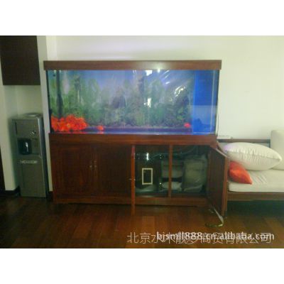 水族生態(tài)學定制魚缸服務(wù)的公司是一家專業(yè)水族魚缸公司：北京水族生態(tài)學定制魚缸 魚缸百科 第1張