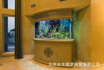 水族生態(tài)學定制魚缸服務(wù)的公司是一家專業(yè)水族魚缸公司：北京水族生態(tài)學定制魚缸 魚缸百科 第3張