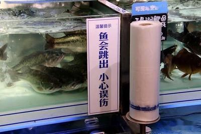 淮陽市海公主水族制品有限公司水族制品有限公司提供多款魚缸服務：南陽市海公主水族制品公司 魚缸百科 第2張