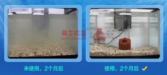 魚缸過濾材料的擺放順序和注意事項(xiàng)：養(yǎng)魚新手入門基礎(chǔ)知識(shí) 魚缸百科 第4張