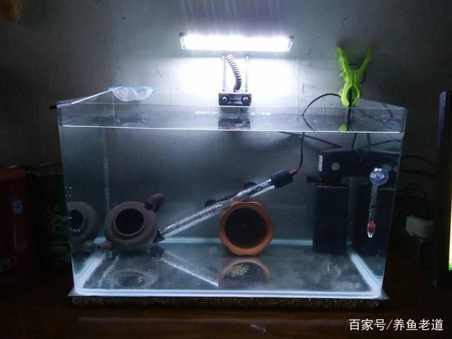 魚缸加熱棒的作用和選擇：給魚缸換水時加點煮開的熱水會導(dǎo)致水溫迅速上升，養(yǎng)魚者需謹慎 魚缸百科 第1張