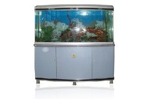 廣興水族魚缸工藝廠的使用體驗(yàn)：廣興水族魚缸工藝廠[需手動(dòng)填充]廣興水族魚缸工藝廠的使用體驗(yàn)